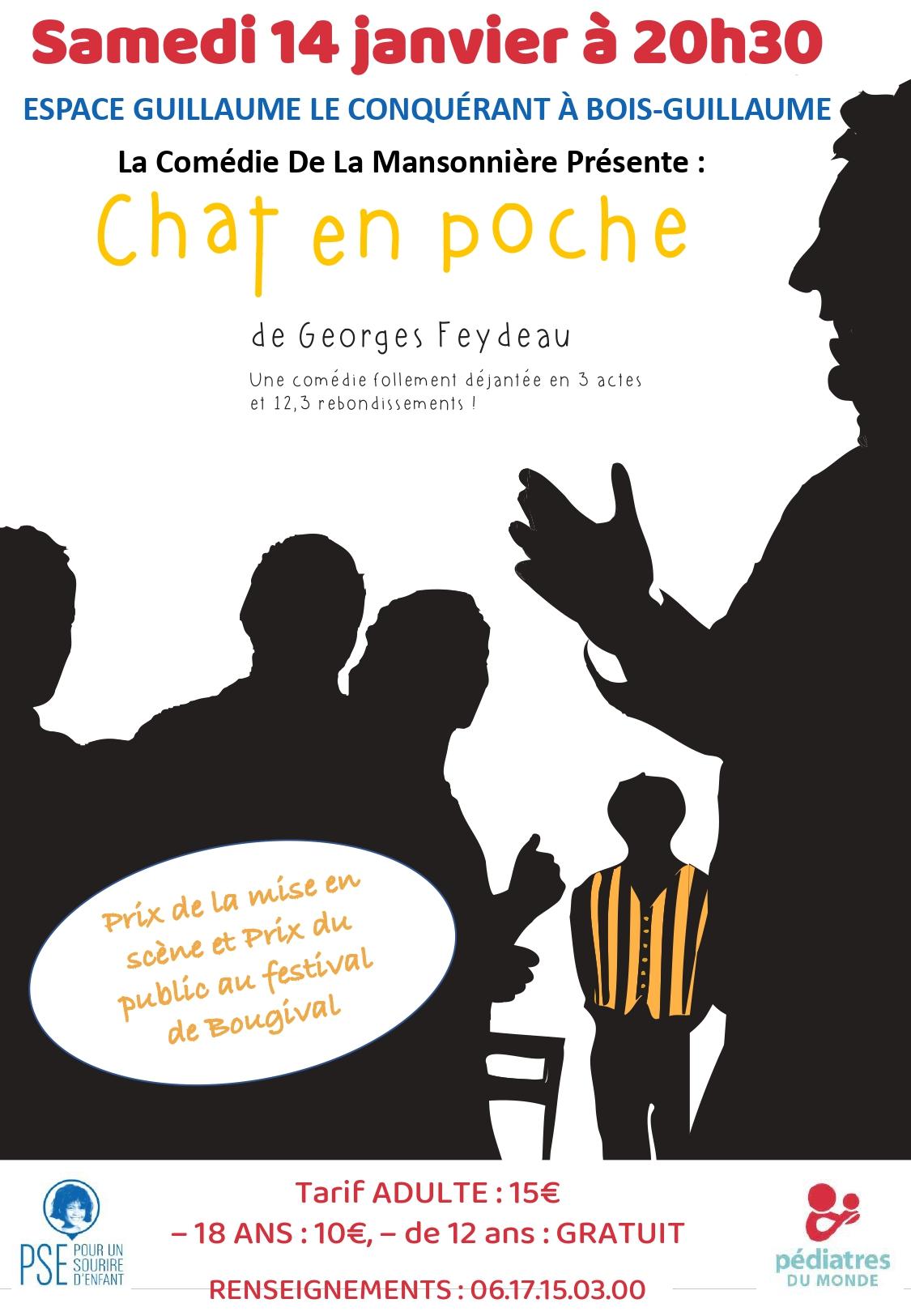 Affiche pièce de théâtre Chat en Poche jouée au profit de PSE en janvier 2023